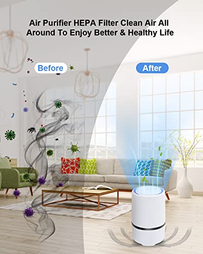 MELEDEN Air Purifier for Home with True HEPA Filters,Low Noise Portable Air Purifiers with Night Light,Desktop USB Air Cleaner,GL2103