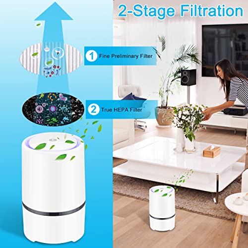 MELEDEN Air Purifier for Home with True HEPA Filters,Low Noise Portable Air Purifiers with Night Light,Desktop USB Air Cleaner,GL2103