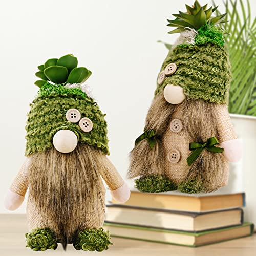 ZTML MS 2Pcs Succulent Gnomes Plush, Mr and Mrs Handmade Tomte Doll Decor Cacti Nordic Dwarf Summer Spring Green Plants Gnomes for Home Swedish Dwarf for Tiered Tray Decor, Gift for Her Him