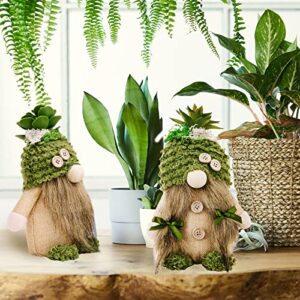 ZTML MS 2Pcs Succulent Gnomes Plush, Mr and Mrs Handmade Tomte Doll Decor Cacti Nordic Dwarf Summer Spring Green Plants Gnomes for Home Swedish Dwarf for Tiered Tray Decor, Gift for Her Him