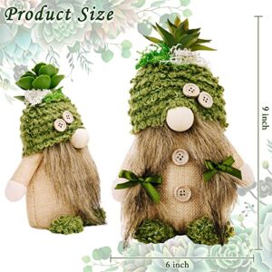ZTML MS 2Pcs Succulent Gnomes Plush, Mr and Mrs Handmade Tomte Doll Decor Cacti Nordic Dwarf Summer Spring Green Plants Gnomes for Home Swedish Dwarf for Tiered Tray Decor, Gift for Her Him