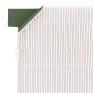 Frigidaire FRPARAC10 PureAir® RAC-10 Premium Allergen Air Filter Replacement for Window ACs - Effective for Dust, Pollen, and Pet Dander