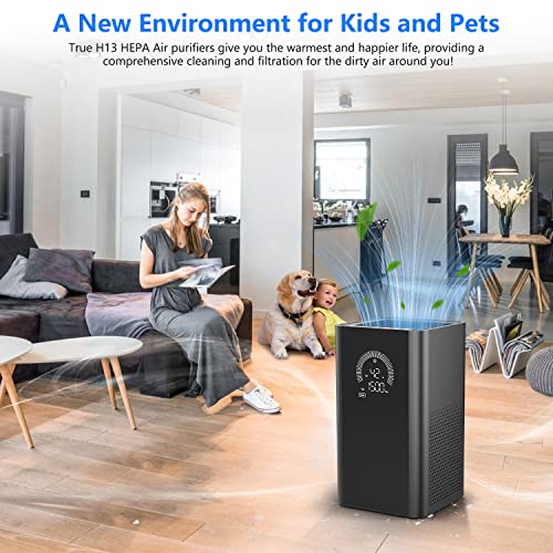 Druiap Air Purifiers for Home Large Room Up to 206~1084 Ft², H13 True HEPA Filter Air Cleaner Filterable 99.97% Bad Air/Smoke/Pet Dander/Odor/for Bedroom, Office, Dorm, Apartment, Kitchen (BlackKJ150)