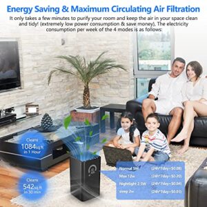Druiap Air Purifiers for Home Large Room Up to 206~1084 Ft², H13 True HEPA Filter Air Cleaner Filterable 99.97% Bad Air/Smoke/Pet Dander/Odor/for Bedroom, Office, Dorm, Apartment, Kitchen (BlackKJ150)