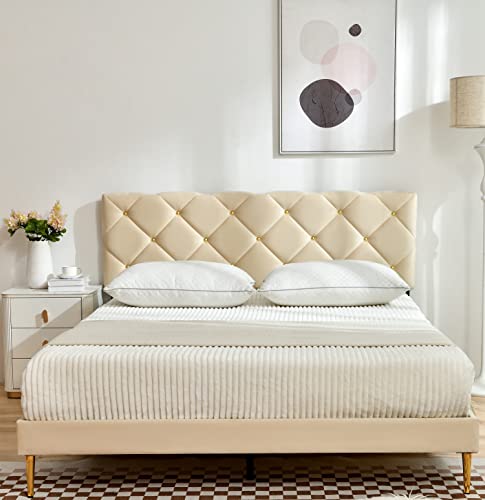 AsKmore Full Size Bed Frame,Velvet Upholstered Platform with Headboard and Strong Wooden Slats,Non-Slip and Noise-Free,No Box Spring Needed, Easy Assembly,Beige