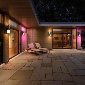 XMCOSY+ Outdoor Wall Lights, 1400LM LED Wall Sconces, Smart RGBW Porch Lights Black Exterior Wall Lighting, WiFi APP Control, Works with Alexa, Adjustable Dual-Head IP65 Waterproof Wall Lanterns (1PK)