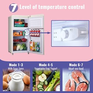DEMULLER Mini Refrigerator 3.5 Cu.Ft Dual Door Fridge with Handle Adjustable Temperature with Top Mount Freezer Ideal for Home, Office, Dorm White