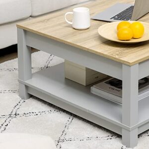 HOMCOM Coffee Table, 2 Tier Center Table with Storage Shelf and Wood Textured Top, Square Living Room Table, Light Gray