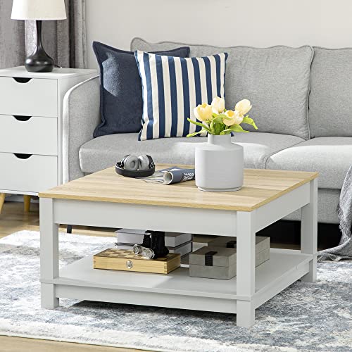 HOMCOM Coffee Table, 2 Tier Center Table with Storage Shelf and Wood Textured Top, Square Living Room Table, Light Gray