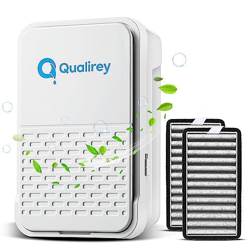 Qualirey Plug in Air Ionizer Purifier for Home with 2 Pcs Carbon Air Filter, 2 in 1 Portable Negative Ion Generator, Electric Air Freshener for Small Room and Kitchen, Helps with Dust, Germs, Odors