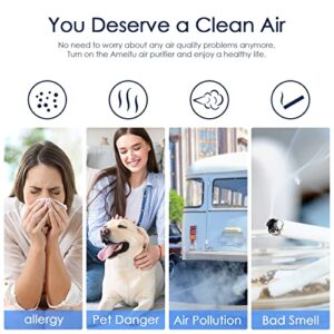 Air Purifiers for Bedroom Home Large Room 610 sq.ft, Updated AMEIFU H13 Hepa Air Purifier Cleaner with Aromatherapy for Pets Hair, Allergies, Smoke, Dust and Bad Smell (California Available)