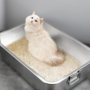 Gralara Open Top Pet Cat Litter Box Kitten Litter Pan Kitten Potty Toilet Stainless Steel Durable Cat Bedpan Cat Sandbox for Small Medium Large Cats, 50cmx35cmx10cm