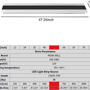 Long Outdoor/Indoor Strip Modern LED Wall Lighting Fixture Lamps, Waterproof IP65,UL MW Driver,Elegant Frosted White Acrylic, Black Aluminum Body (Warm, 48inch)