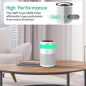 Afloia HEPA Air Purifiers for Bedroom with 7 Colors Light & Afloia Original True HEPA 13 Filter, Compatible with Demi Air Purifier