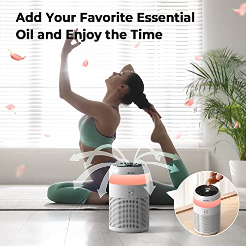 Afloia HEPA Air Purifiers for Bedroom with 7 Colors Light & Afloia Original True HEPA 13 Filter, Compatible with Demi Air Purifier