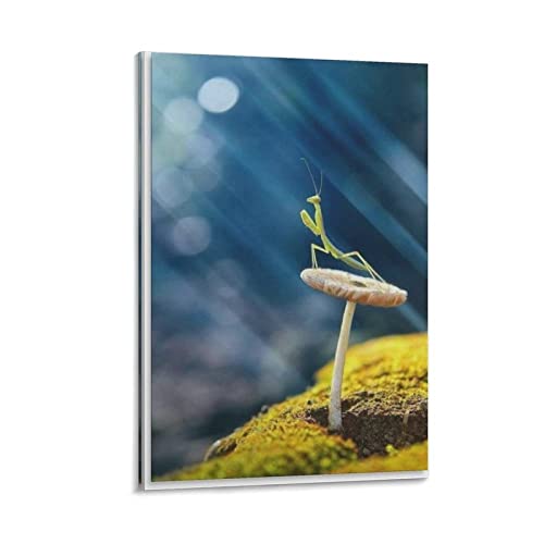 Praying Mantis on Mushroom Insects Canvas Poster Bedroom Decor Sports Landscape Office Room Decor Gi Posters Wall Art Painting Canvas Gift Living Room Prints Bedroom Decor Poster Artworks 16x24inch(40