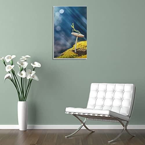 Praying Mantis on Mushroom Insects Canvas Poster Bedroom Decor Sports Landscape Office Room Decor Gi Posters Wall Art Painting Canvas Gift Living Room Prints Bedroom Decor Poster Artworks 16x24inch(40