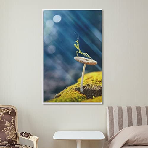 Praying Mantis on Mushroom Insects Canvas Poster Bedroom Decor Sports Landscape Office Room Decor Gi Posters Wall Art Painting Canvas Gift Living Room Prints Bedroom Decor Poster Artworks 16x24inch(40