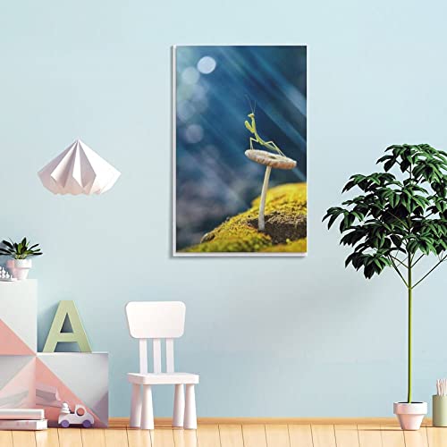 Praying Mantis on Mushroom Insects Canvas Poster Bedroom Decor Sports Landscape Office Room Decor Gi Posters Wall Art Painting Canvas Gift Living Room Prints Bedroom Decor Poster Artworks 16x24inch(40