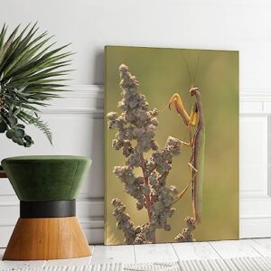 Insects Animals Prayer Mantis Canvas Poster Bedroom Decor Sports Landscape Office Room Decor Gift,Canvas Poster Wall Art Decor Print Picture Paintings for Living Room Bedroom Decoration 16x24inchs(40x