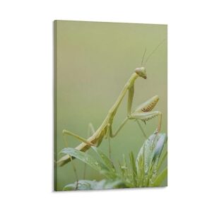 puryzxac beautiful praying mantis insects natural living room wall art canvas wall art prints for wall decor room decor bedroom decor gifts 16x24inch(40x60cm) frame-style