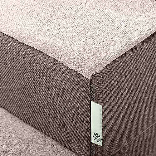 ZINUS Easy Pet Stairs / Pet Ramp / Pet Ladder, X-Small, Sand