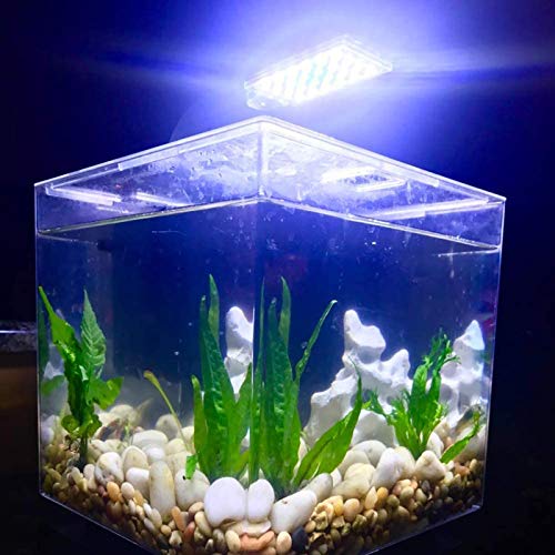 IC INSTANT COACH 10W Super Slim Aquarium Fish Tank 5730 LED Light Clip-on Lamp Aquatic Plant Lighting (Black Body White+Blue Light)