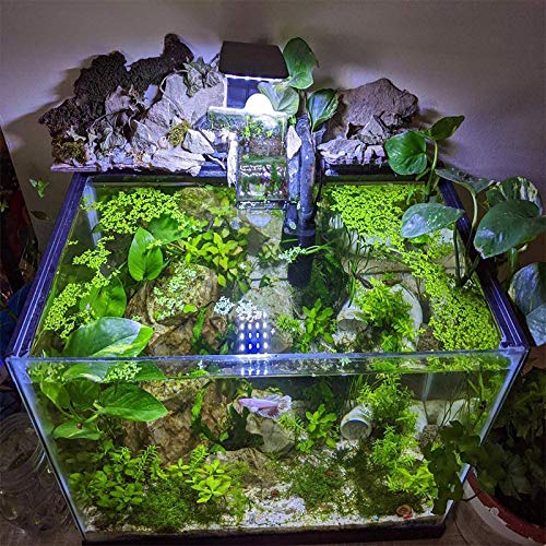 IC INSTANT COACH 10W Super Slim Aquarium Fish Tank 5730 LED Light Clip-on Lamp Aquatic Plant Lighting (Black Body White+Blue Light)