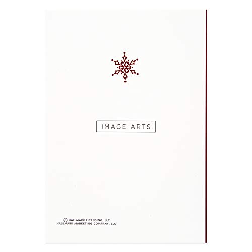 Image Arts Christmas Boxed Cards Assortment, Elegant Lettering (4 Designs, 24 Cards with Envelopes)