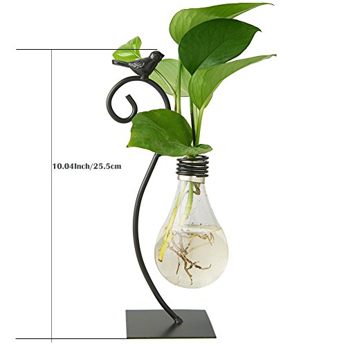Marbrasse Desktop Glass Planter Hydroponics Vase,Planter Bulb Vase with Holder for Home Decoration,Modern Creative Bird Plant Terrarium Stand, Scindapsus Container (Bulb Vase)