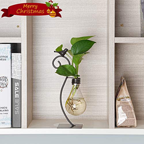 Marbrasse Desktop Glass Planter Hydroponics Vase,Planter Bulb Vase with Holder for Home Decoration,Modern Creative Bird Plant Terrarium Stand, Scindapsus Container (Bulb Vase)