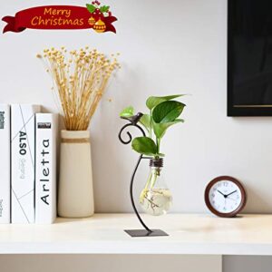 Marbrasse Desktop Glass Planter Hydroponics Vase,Planter Bulb Vase with Holder for Home Decoration,Modern Creative Bird Plant Terrarium Stand, Scindapsus Container (Bulb Vase)