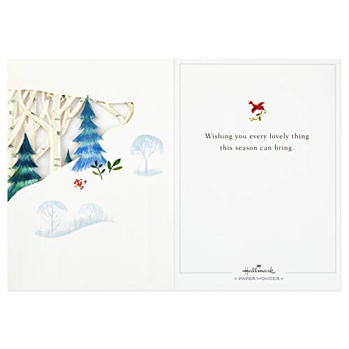 Hallmark Paper Wonder Pop Up Holiday Card (Woodland Animals Pop Up) (899XXH6016)