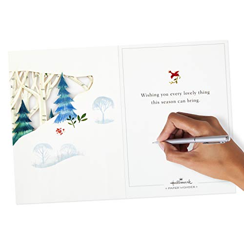 Hallmark Paper Wonder Pop Up Holiday Card (Woodland Animals Pop Up) (899XXH6016)