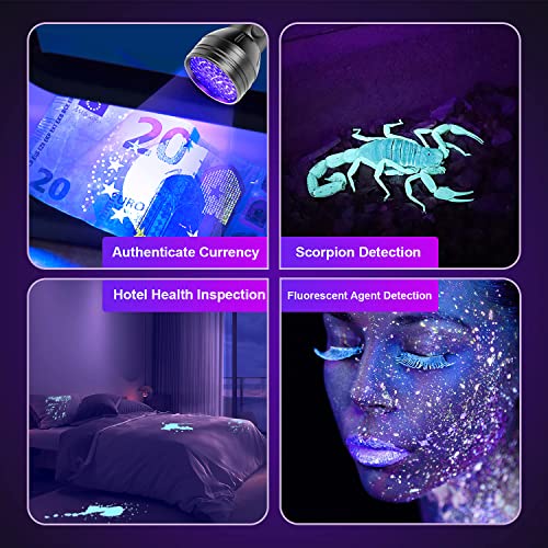 Black Light UV Flashlight, Escolite 51 LED BlackLights for Pet Urine Detection, Blue Light Flashlight, Ultraviolet Flashlights for Dog Urine, Scorpions, Dry Stains, Bed Bug(Include 3AA batteries )