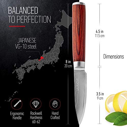 Damascus Paring Knife, 3.5 inch Japanese VG-10 Stainless Steel Super Sharp Small Kitchen Knives With Pakkawood Handle