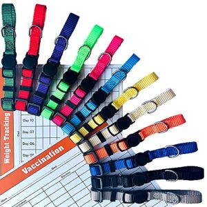 gamuda puppy collars – super soft nylon whelping puppy id - adjustable breakaway litter collars pups – assorted colors plain & identification collars with 2 record keeping charts – set of 12 (s)