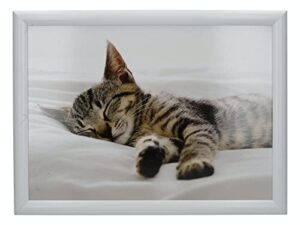 creative tops 'kitten' cushioned bean bag lap tray, 44 x 34 cm (17.5" x 13.5") - multi-colour