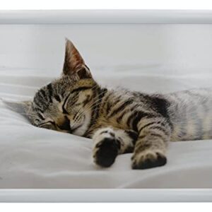 Creative Tops 'Kitten' Cushioned Bean Bag Lap Tray, 44 x 34 cm (17.5" x 13.5") - Multi-Colour