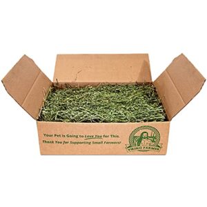 viking farmer alfalfa hay for rabbits & small pets, 5 lbs