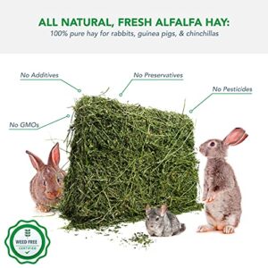 Viking Farmer Alfalfa Hay for Rabbits & Small Pets, 5 lbs
