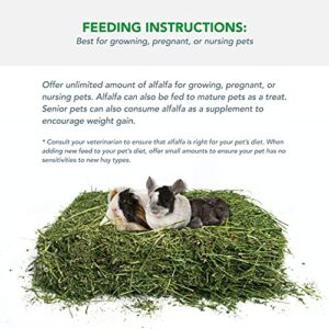 Viking Farmer Alfalfa Hay for Rabbits & Small Pets, 5 lbs