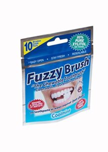 fuzzy brush chew able toothbrush, 10 ounce (pack of 10)