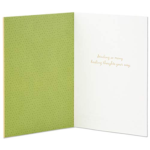 Hallmark Signature Get Well Card (Plant)