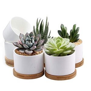 zoutog succulent pots, white mini 3.15 inch ceramic flower planter pot with bamboo tray, pack of 6 - plants not included
