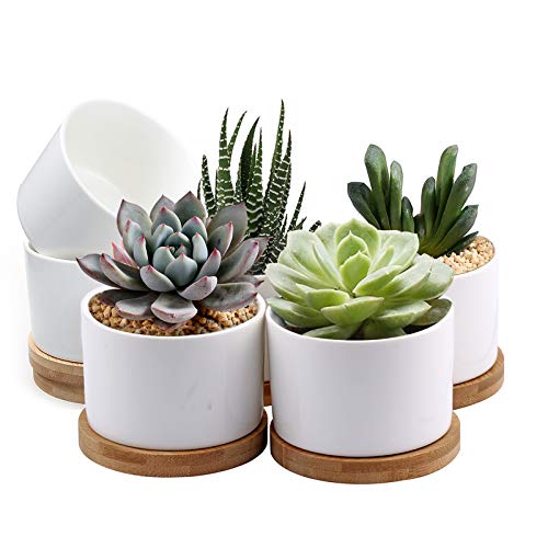 ZOUTOG Succulent Pots, White Mini 3.15 inch Ceramic Flower Planter Pot with Bamboo Tray, Pack of 6 - Plants Not Included