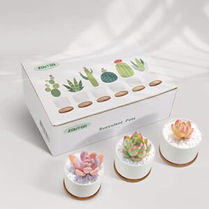 ZOUTOG Succulent Pots, White Mini 3.15 inch Ceramic Flower Planter Pot with Bamboo Tray, Pack of 6 - Plants Not Included