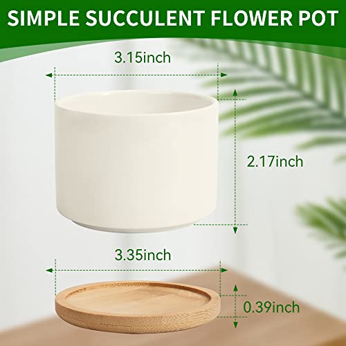 ZOUTOG Succulent Pots, White Mini 3.15 inch Ceramic Flower Planter Pot with Bamboo Tray, Pack of 6 - Plants Not Included