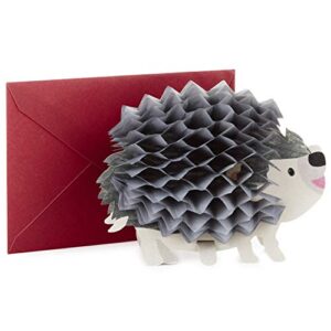 hallmark pop up birthday greeting card (honeycomb hedgehog) (599rzq1002)