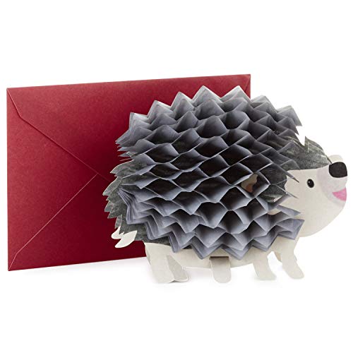 Hallmark Pop Up Birthday Greeting Card (Honeycomb Hedgehog) (599RZQ1002)